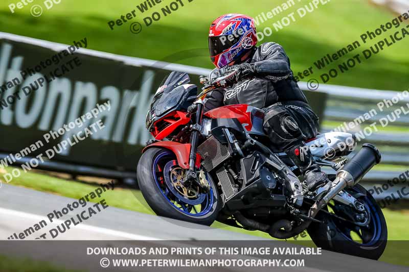 PJ Motorsport 2019;anglesey;brands hatch;cadwell park;croft;donington park;enduro digital images;event digital images;eventdigitalimages;mallory;no limits;oulton park;peter wileman photography;racing digital images;silverstone;snetterton;trackday digital images;trackday photos;vmcc banbury run;welsh 2 day enduro